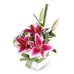 the Bouquet of Stars