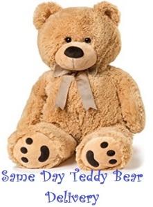 Teddy Bear Gift