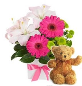 Princess Kayden Bouquet and a Teddy Bear