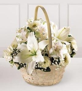 Sympathy Divinity Basket Bouquet